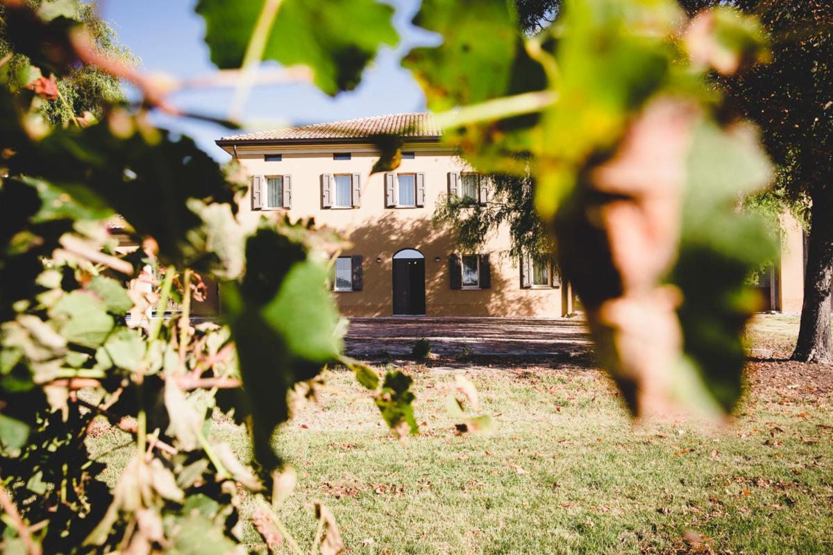 Agriturismo Vitae Fabbrico Exterior photo